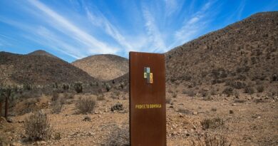 «Actuar inédito y grave»: Andes Iron arremete contra el gobierno y destaca fallo a favor de Dominga