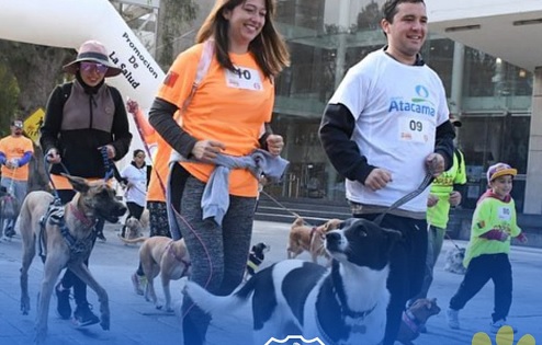 4ª Expo Caminata Canina en Chañarcillo