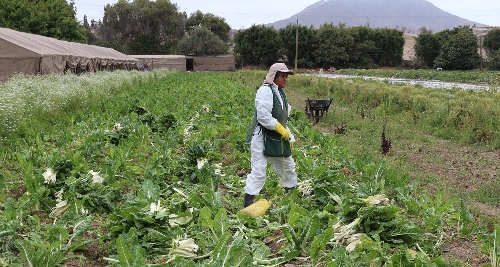CNR busca mejorar eficiencia en uso del agua