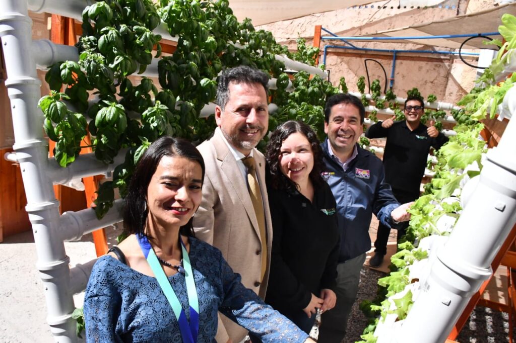 Atacama impulsa pymes con innovación local